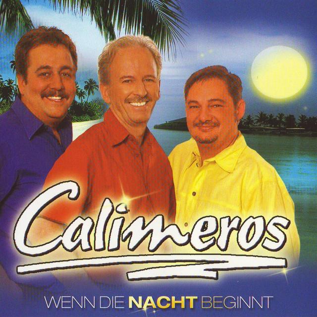 Album cover art for Und Wenn Die Nacht Beginnt