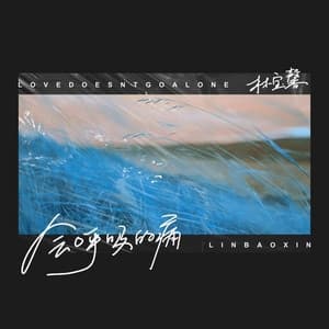 Album cover art for 会呼吸的痛