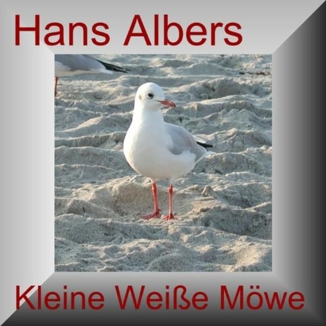 Album cover art for Kleine Weiße Möwe