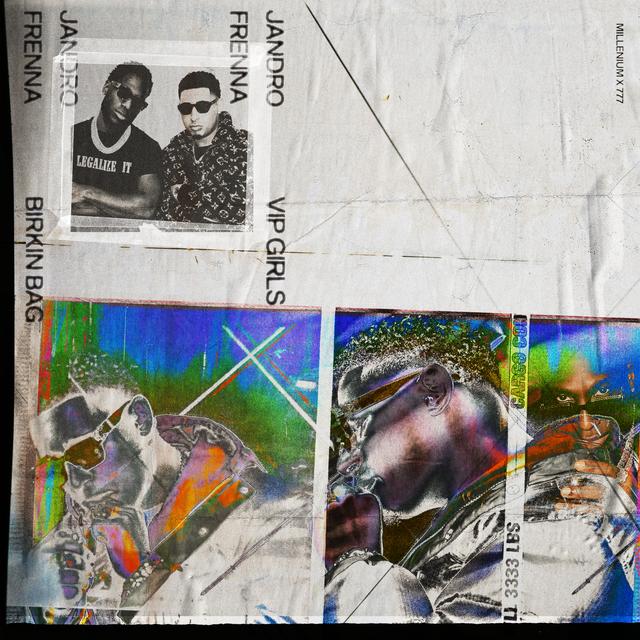 Album cover art for VIP Girls / Birkin Bag