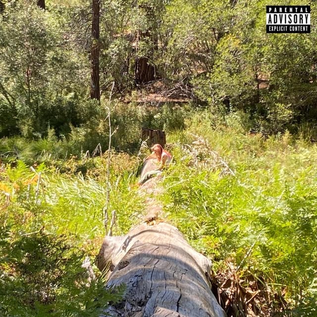 Album cover art for strange creature