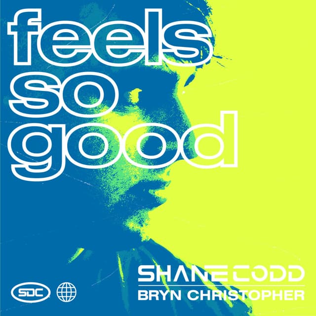 Album cover art for Feels So Good