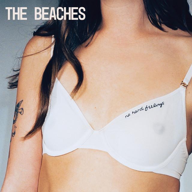Album cover art for Did I Say Too Much