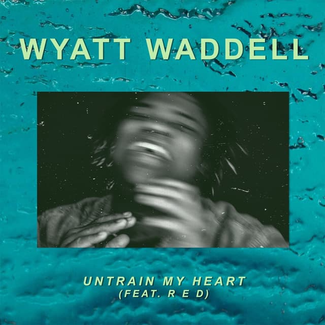 Album cover art for Untrain My Heart