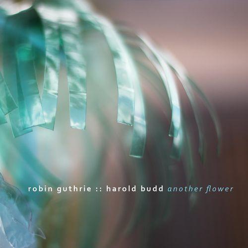 Album cover art for Another Flower