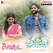 Album cover art for Evare