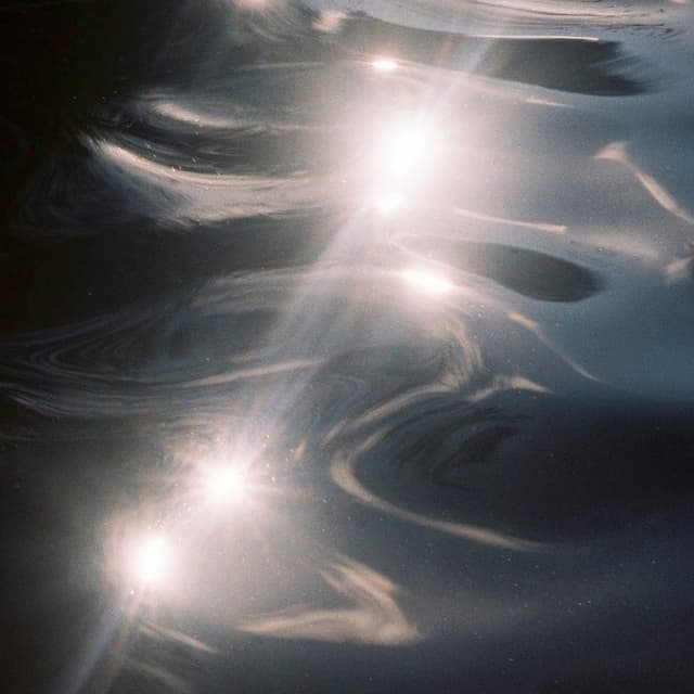 Album cover art for Mycelial Echo