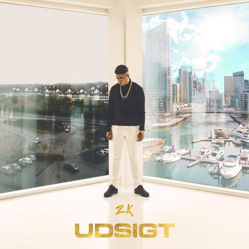 Album cover art for Udsigt