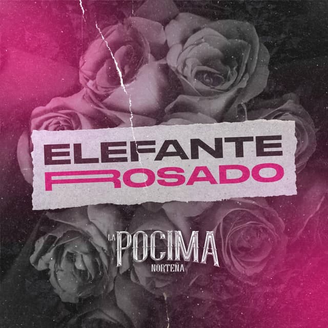 Album cover art for Elefante Rosado