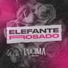 Elefante Rosado