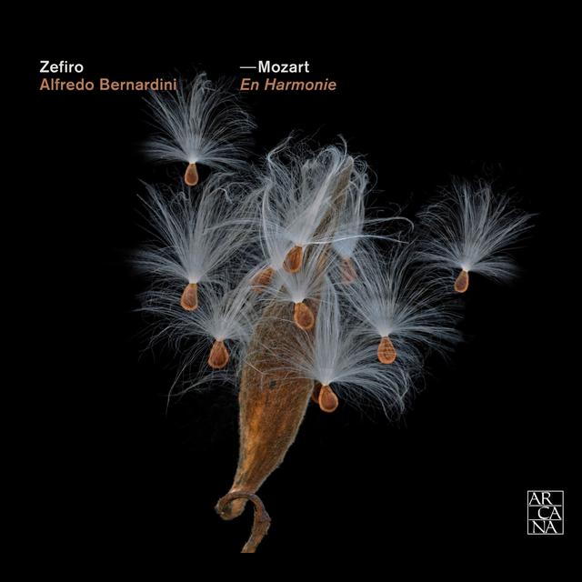 Album cover art for Mozart : En Harmonie