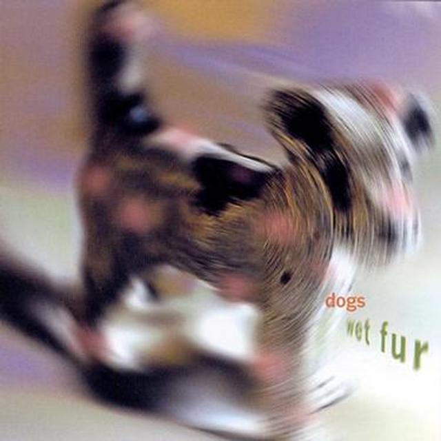 Album cover art for Wet Fur