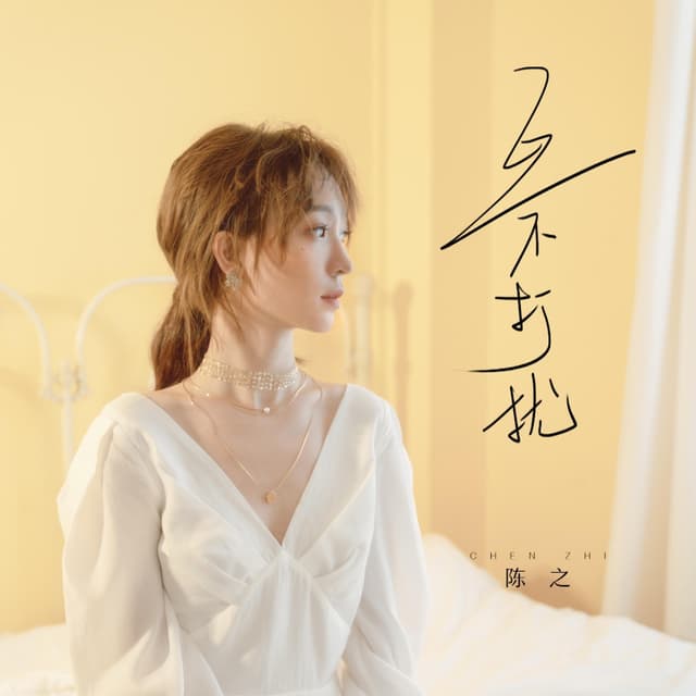 Album cover art for 互不打扰