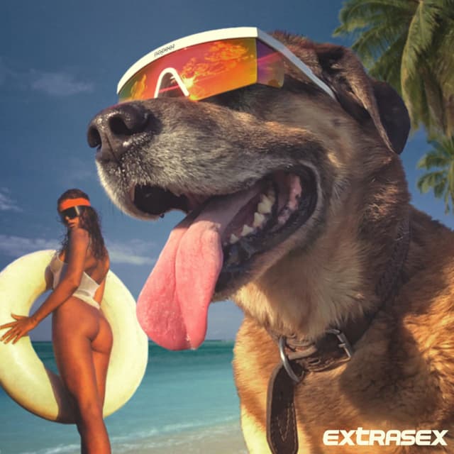 Album cover art for Extrasex