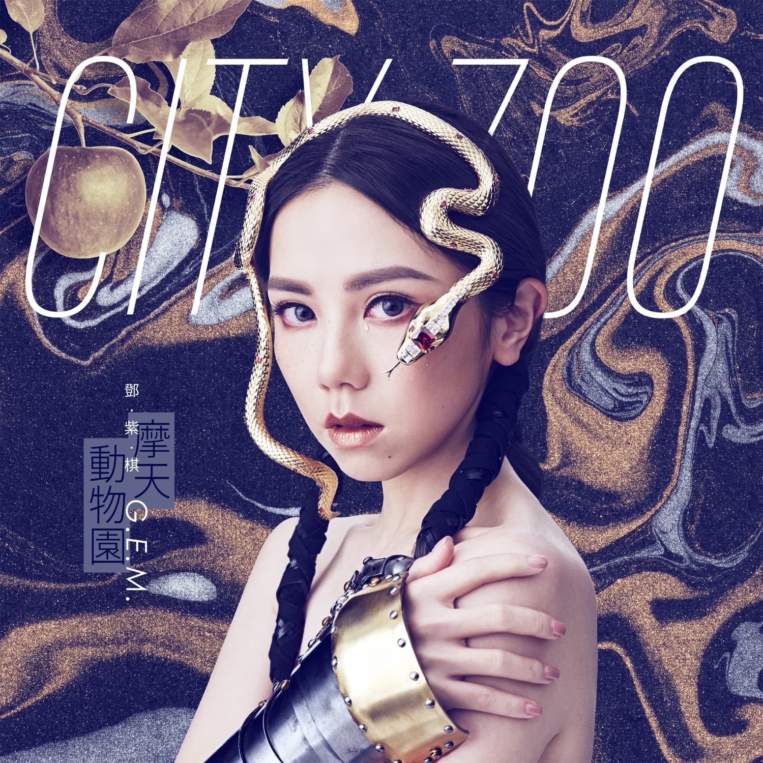 Lyric cover art