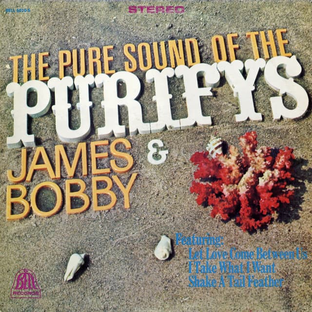 Album cover art for The Pure Sound of the Purifys