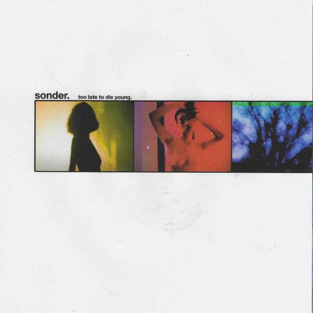 Album cover art for Too Late to Die Young