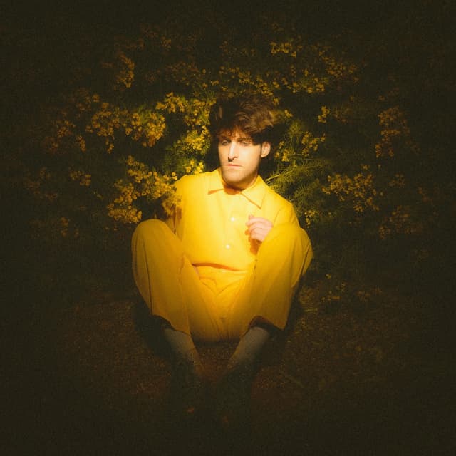 Album cover art for Eternal Sunshine