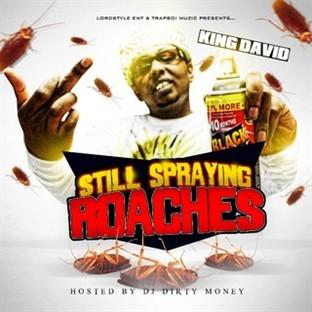 Album cover art for Still Spraying Roaches