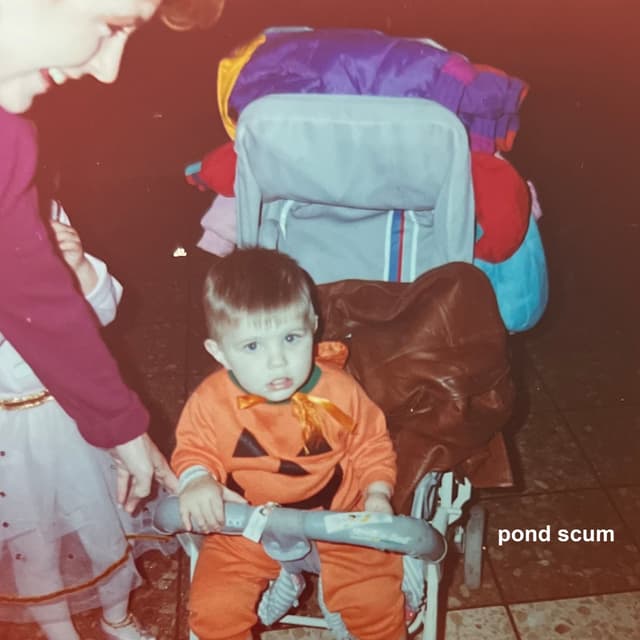 Album cover art for pond scum