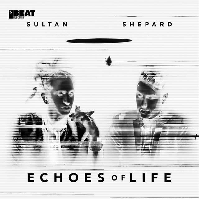 Album cover art for Echoes of Life: Night