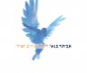 אבא