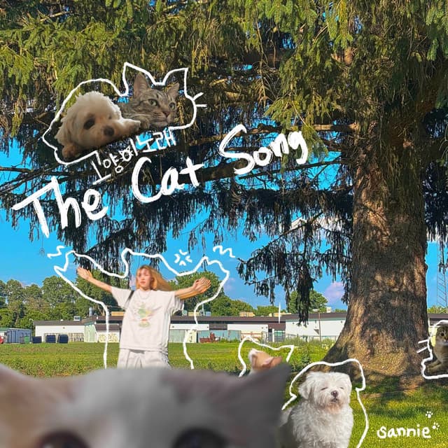 Album cover art for The Cat Song