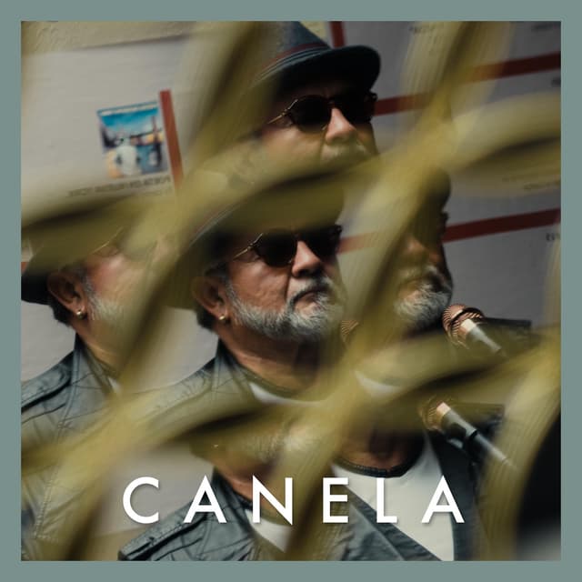 Album cover art for Canela (Duck Sessions)