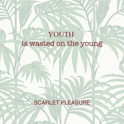 Album cover art for Youth Is Wasted on the Young
