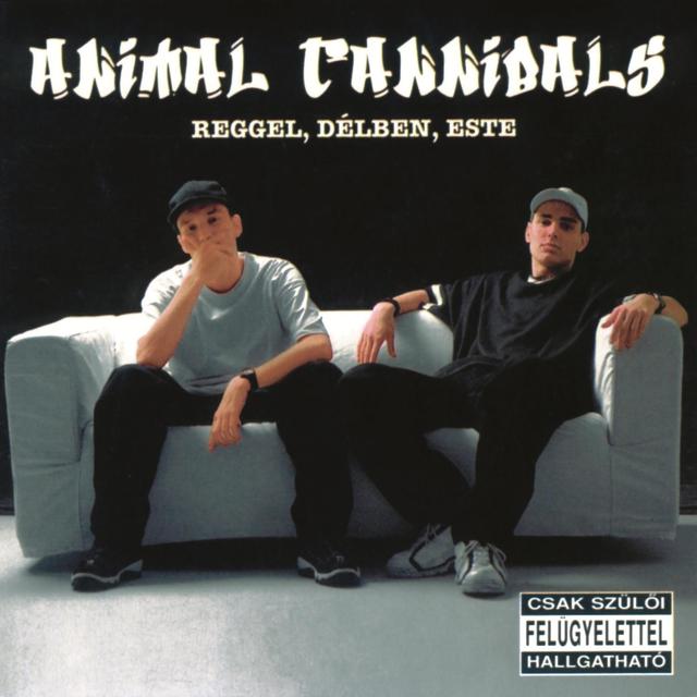 Album cover art for Reggel, délben, este