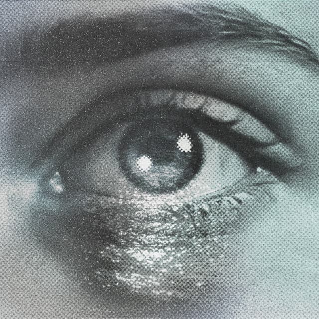 Album cover art for Brillo