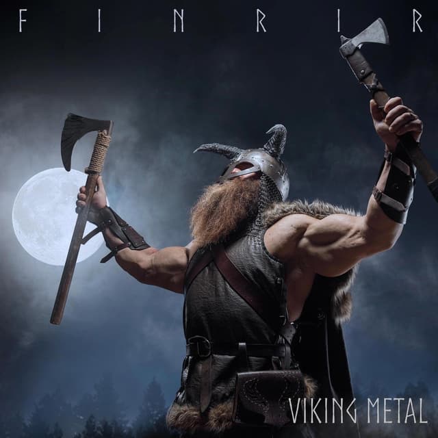 Album cover art for Viking Metal