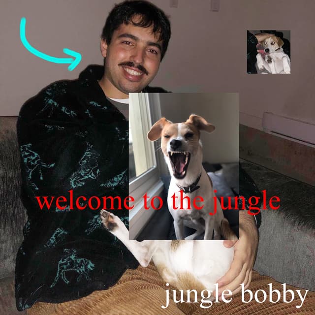Album cover art for welcome to the jungle