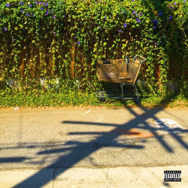 Album cover art for 4 / 29 / 17
