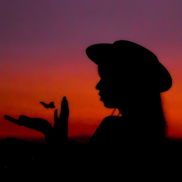 Album cover art for I'll Be Your Guy