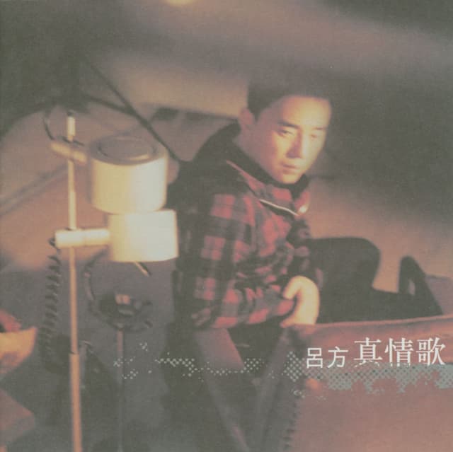 Album cover art for 真情歌