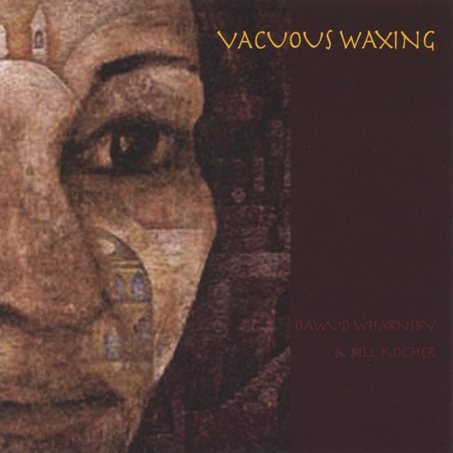 Album cover art for Vacuous Waxing