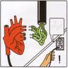 Heartbeeps