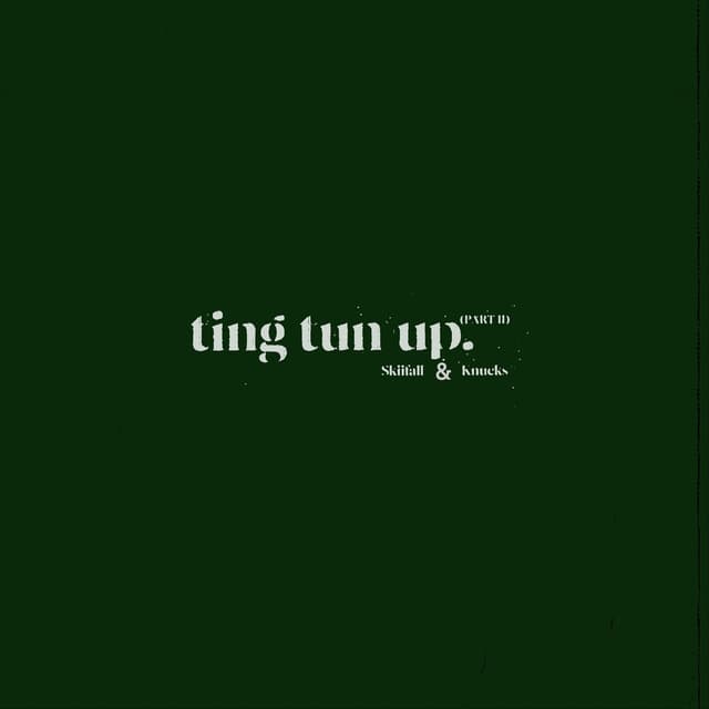 Album cover art for Ting Tun Up Part II