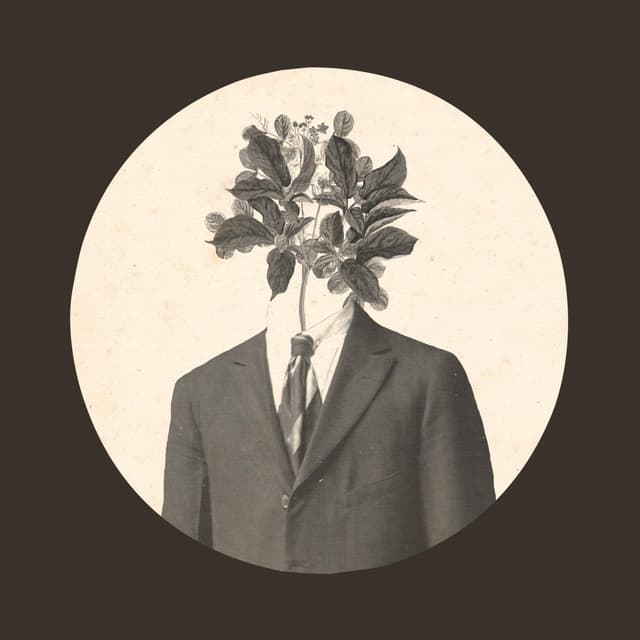 Album cover art for Otras Muertes