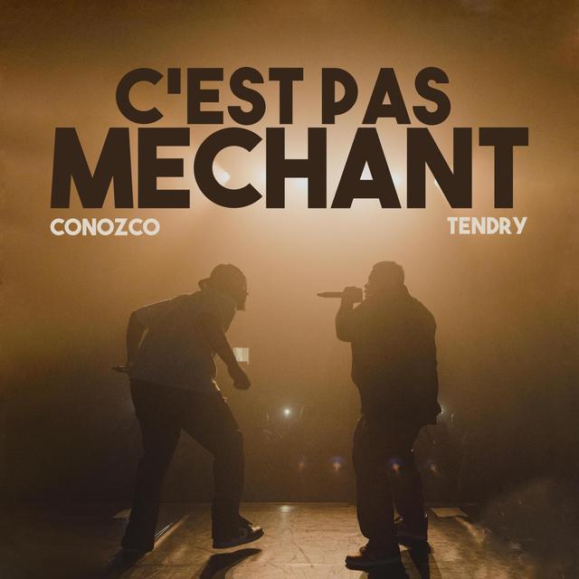 Album cover art for C'est pas méchant