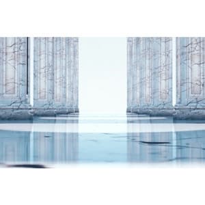 Album cover art for 因果