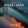 What I Need (feat. Meira) [Dub Mix]