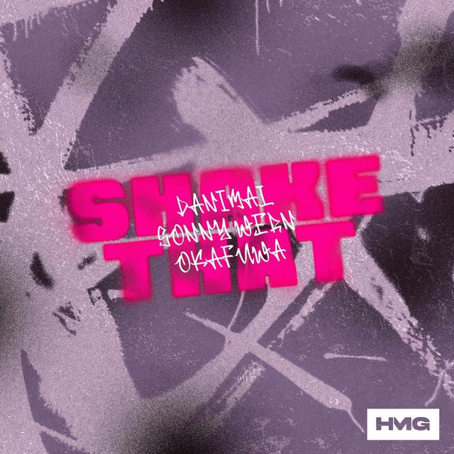 Album cover art for Shake That