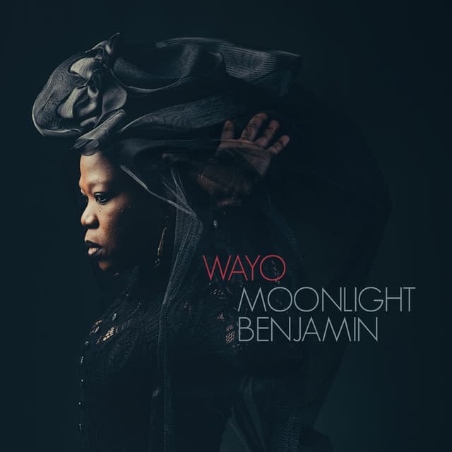 Album cover art for Wayo