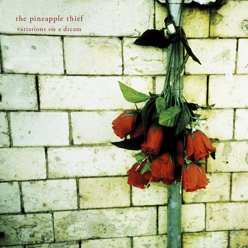Album cover art for Variations on a Dream