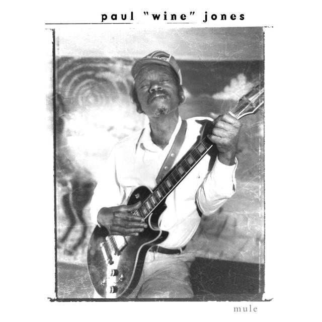 Album cover art for Mule