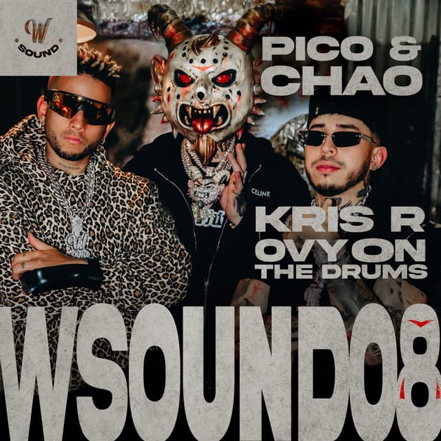 Album cover art for Pico Y Chao (W Sound 08)