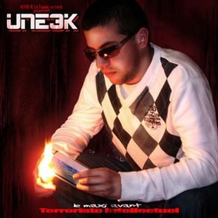 Album cover art for Le Maxi Avant Terroriste Intellectuel