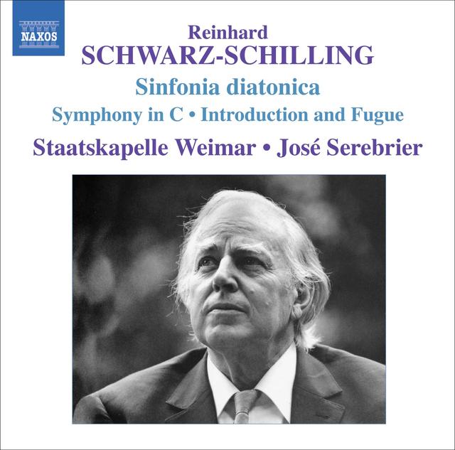 Album cover art for Schwarz-Schilling : Œuvres Orchestrales